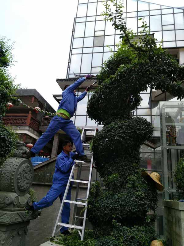 廣西恒大蘋果園